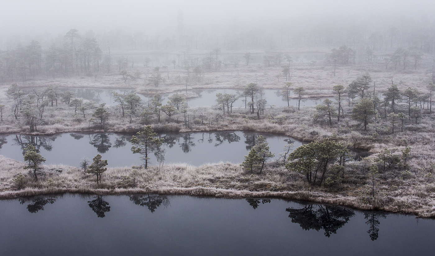 Болотный край