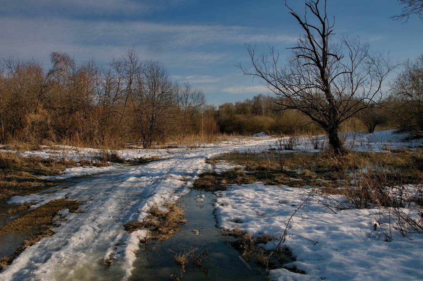 *Весенним вечером.**