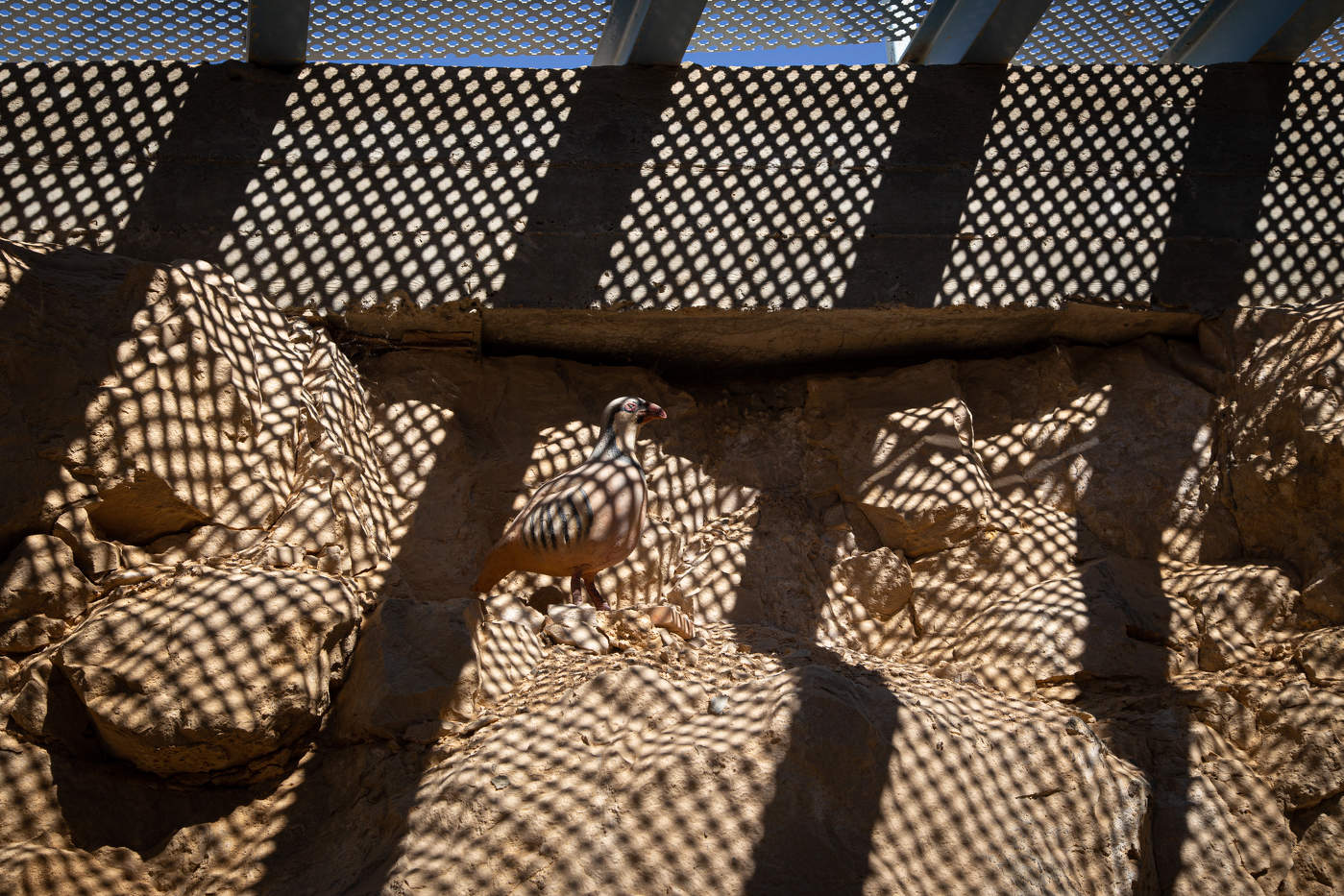 Понимайте, как хотите.