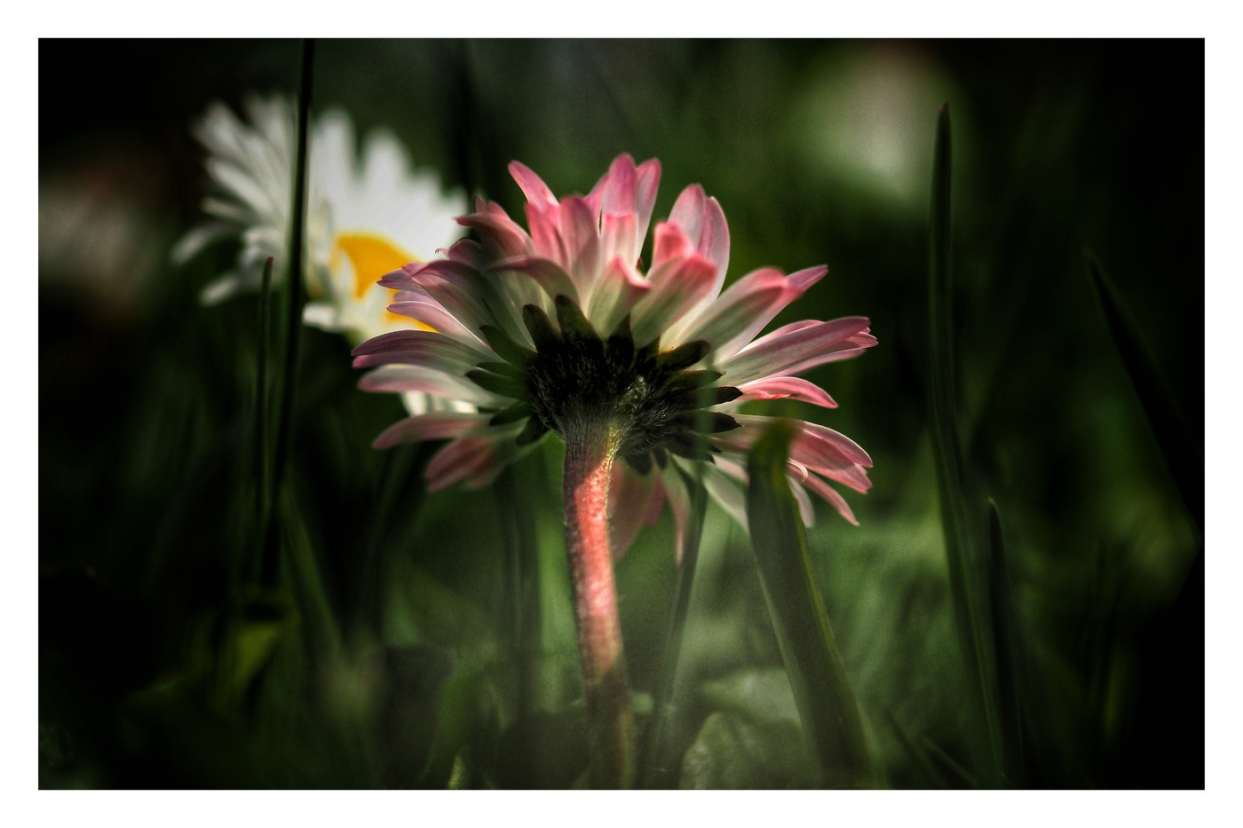 Уже скоро ...