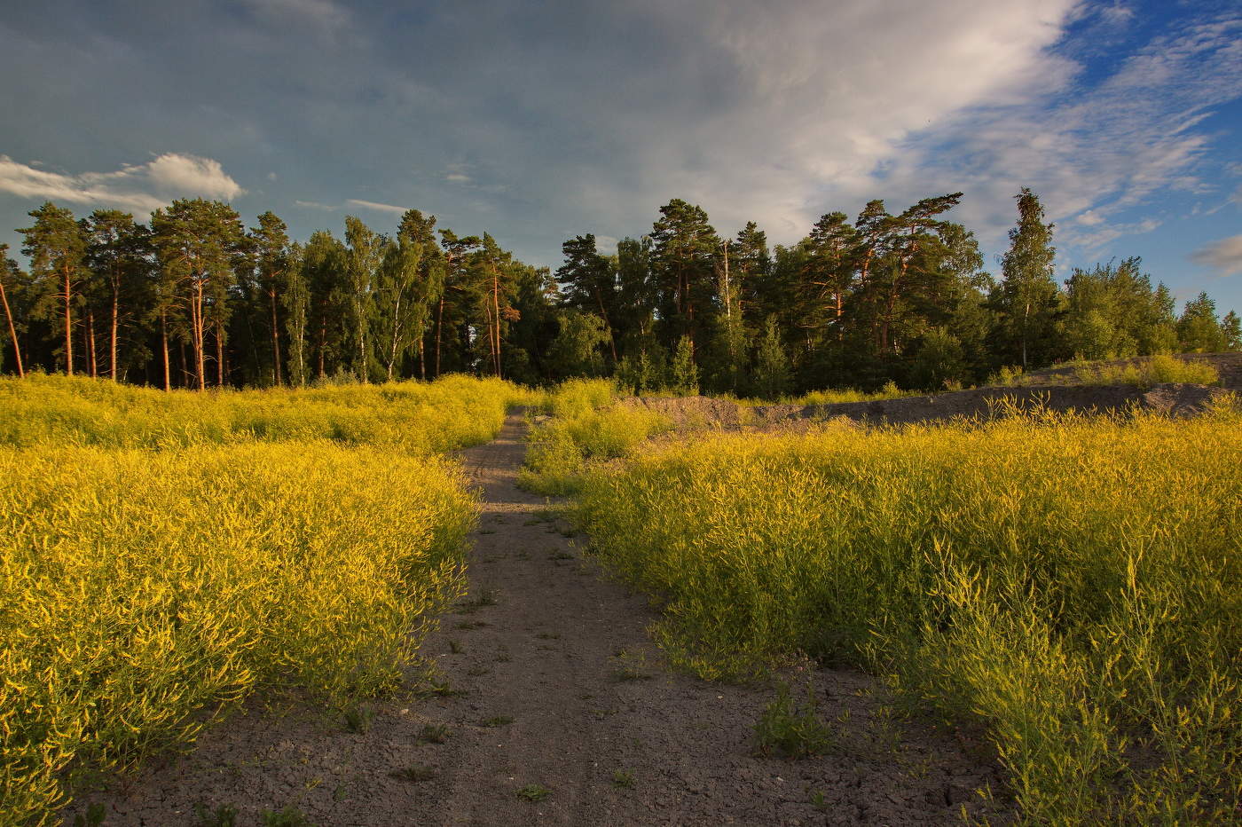 Подмосковный вечерок