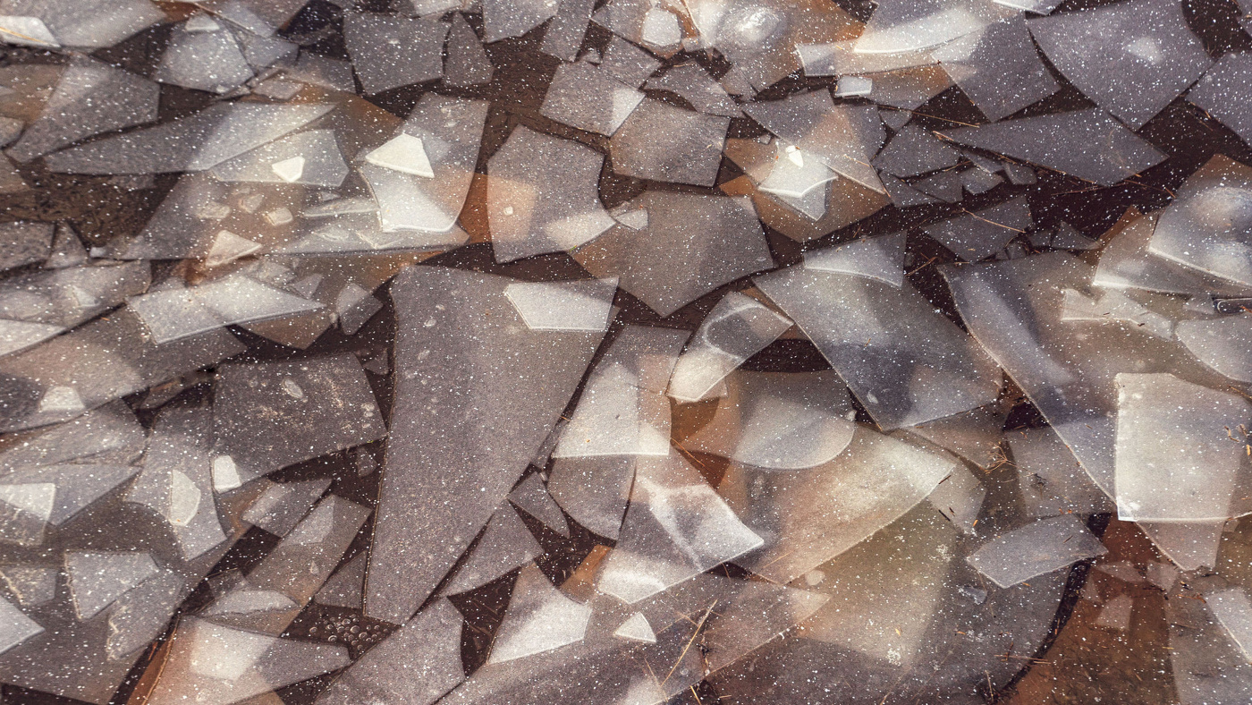 Жизнь вокруг