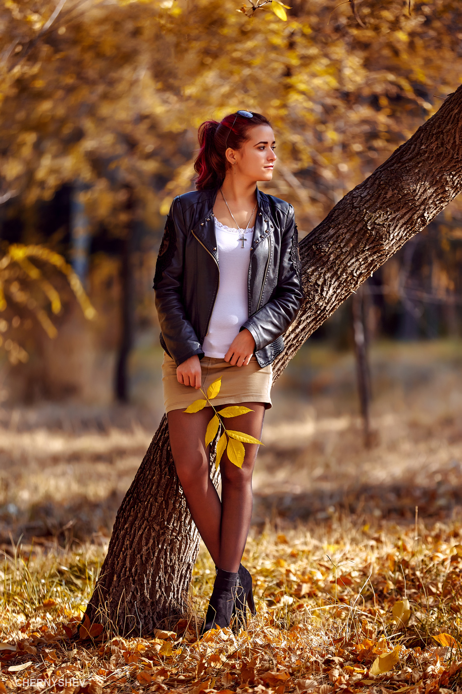 из альбома "логика листьев".