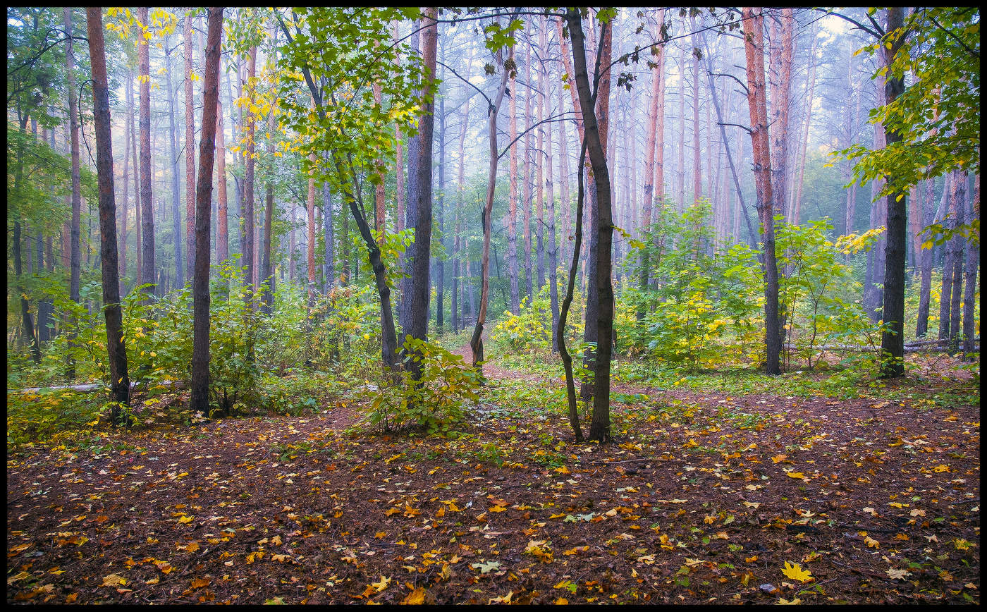 Осенние зарисовки
