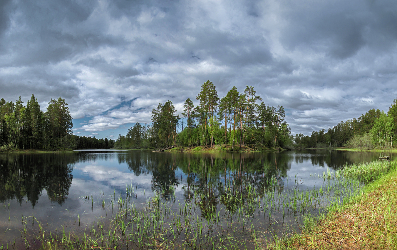 день пасмурный, но сколько красоты...