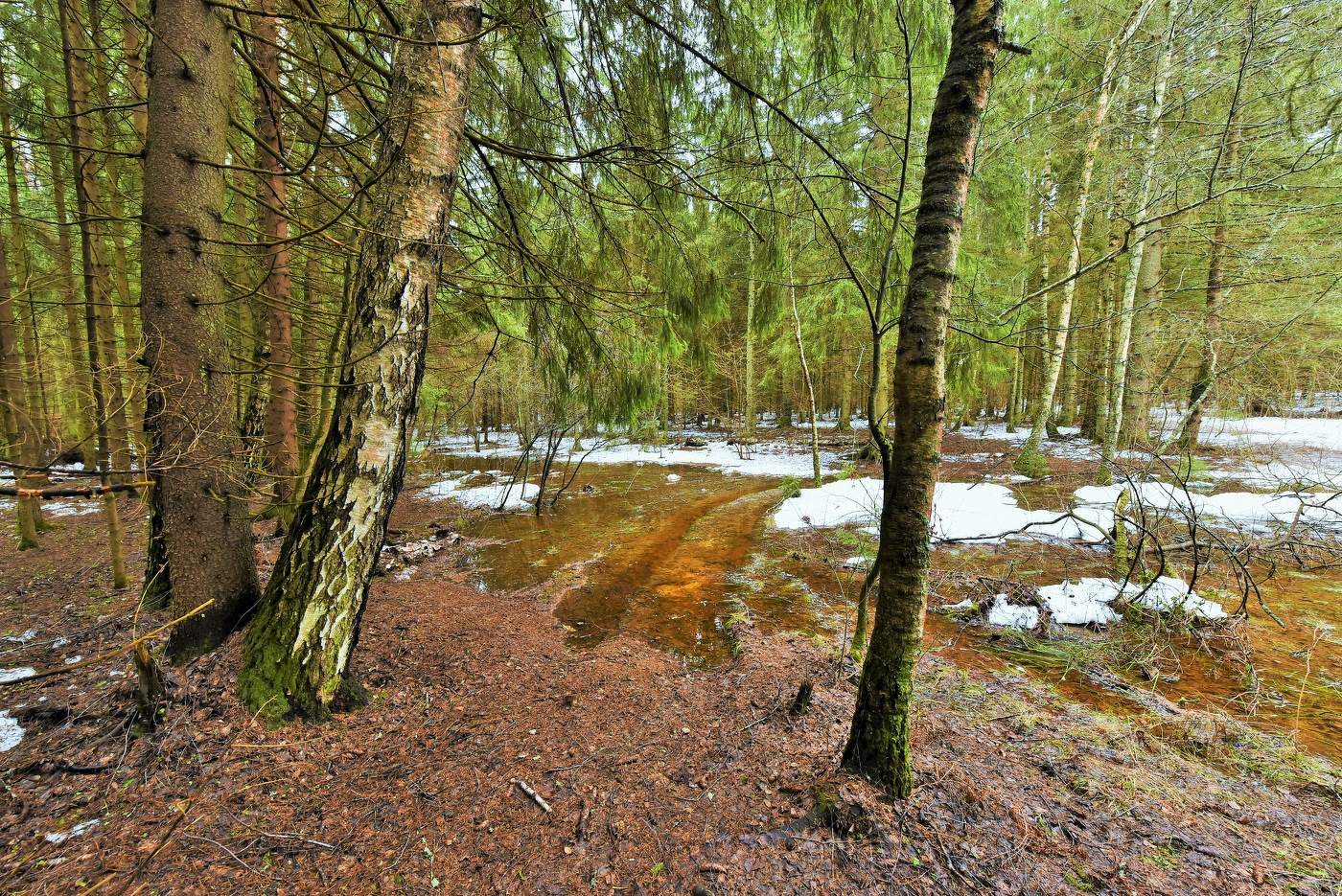 "Я не люблю весну; скучна мне оттепель..."