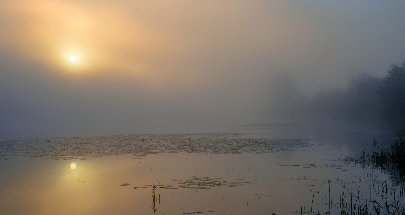 Густой туман.