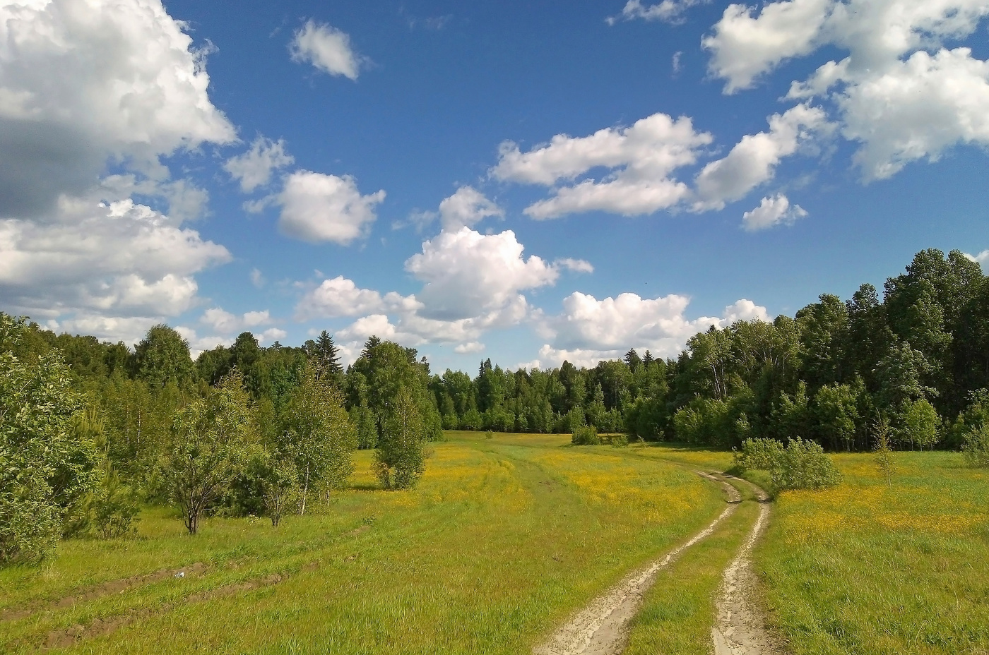 Родные просторы