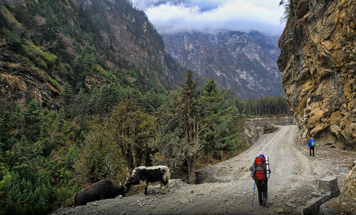 Горная дорога