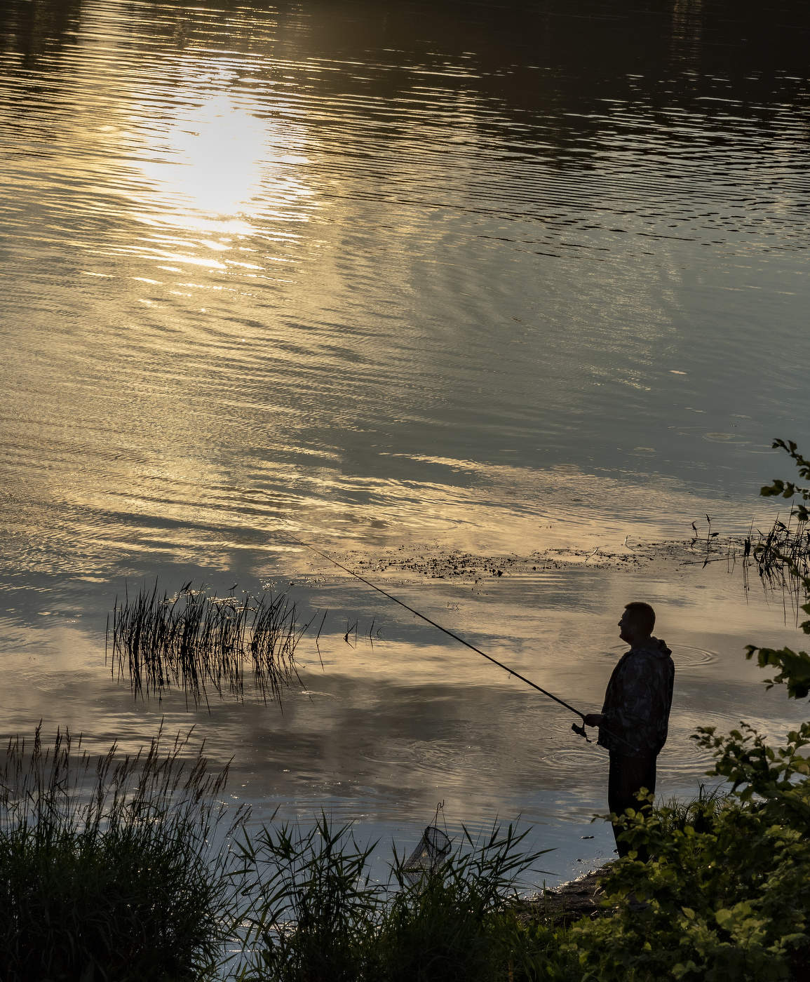 Вечерняя поклевка