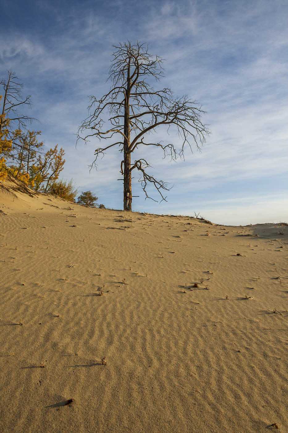 Пески Ольхона