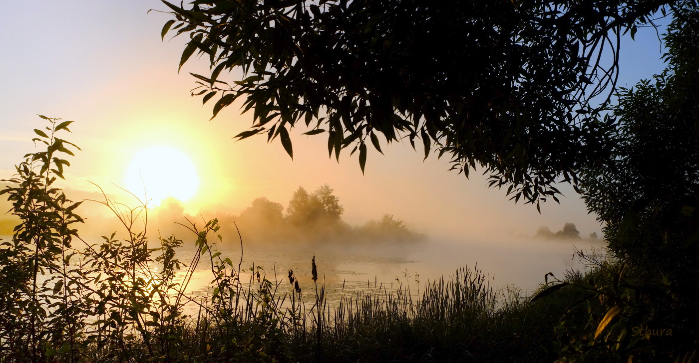 Лето. Рассвет.