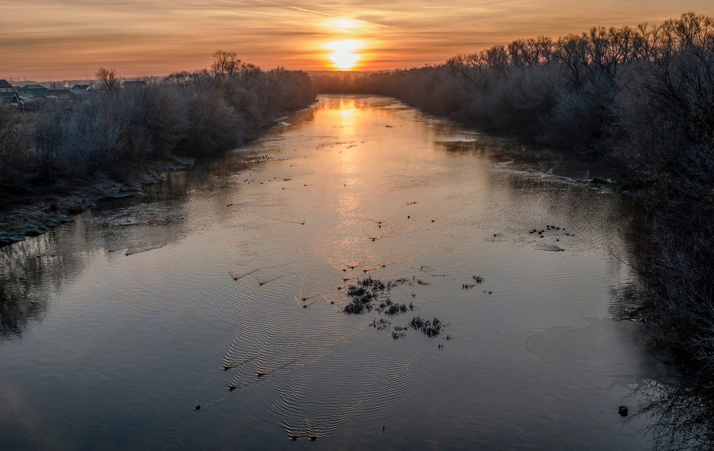 утки словно катера мчатся...
