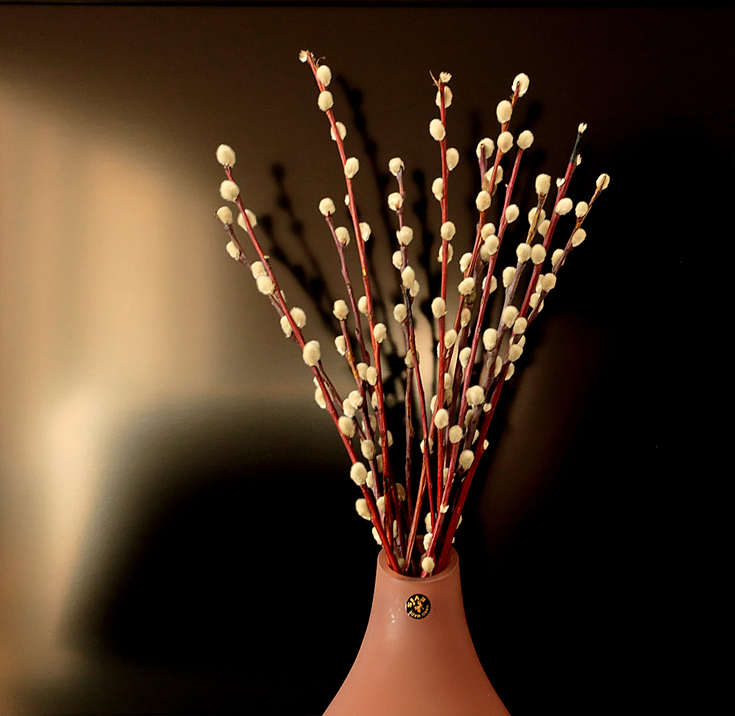 С Вербным Воскресеньем!