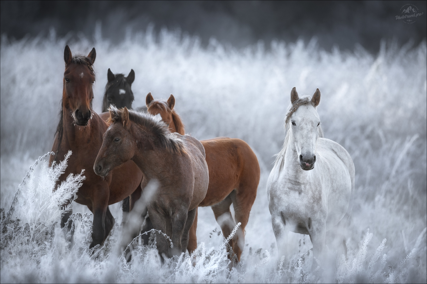 Одним осенним утром..