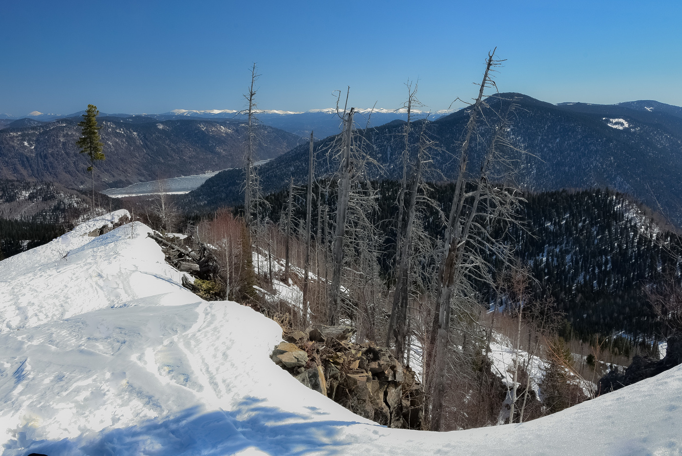 Гора Кокуя на Телецком озере