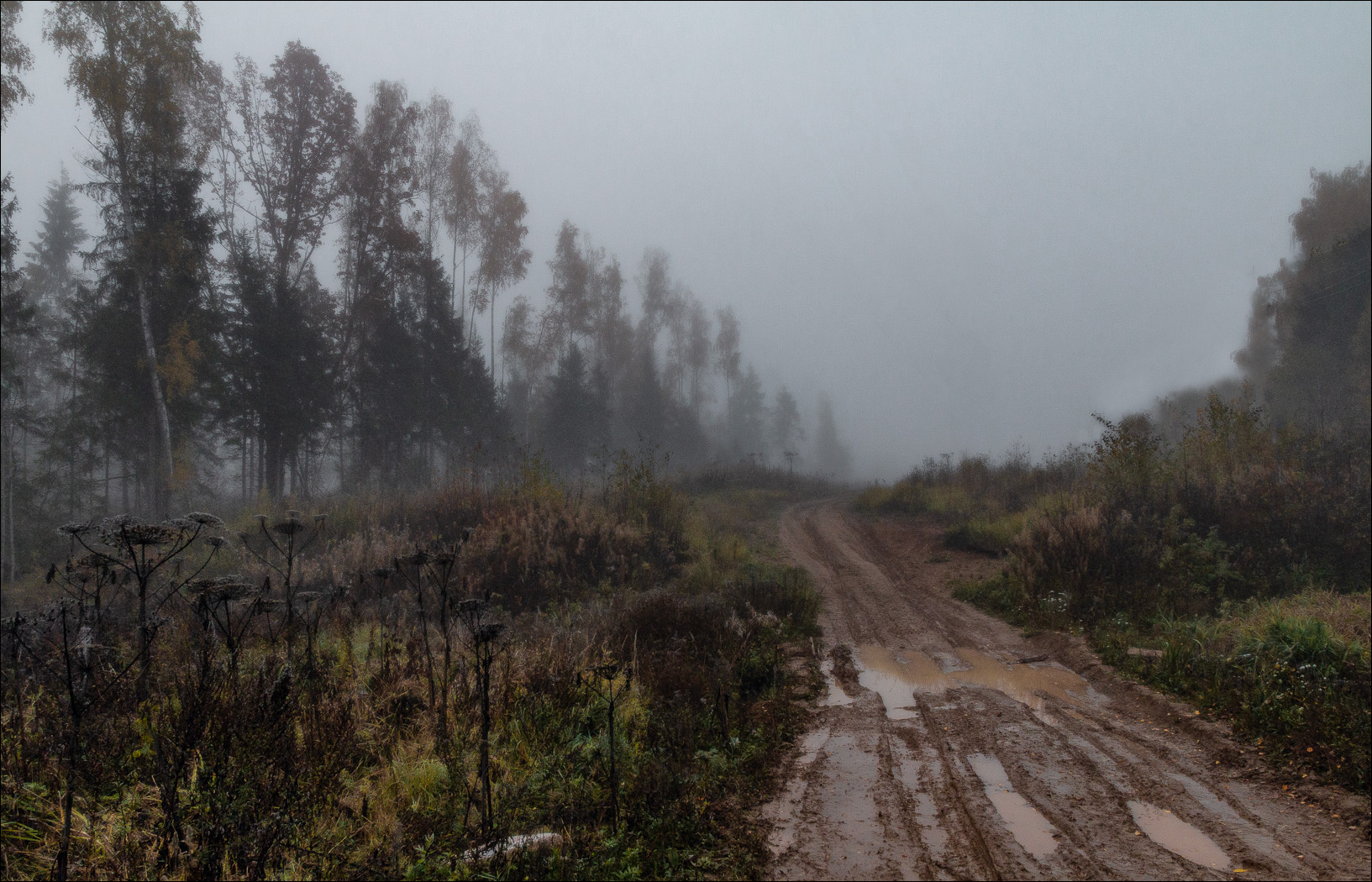 വെറും ശരത്കാലം