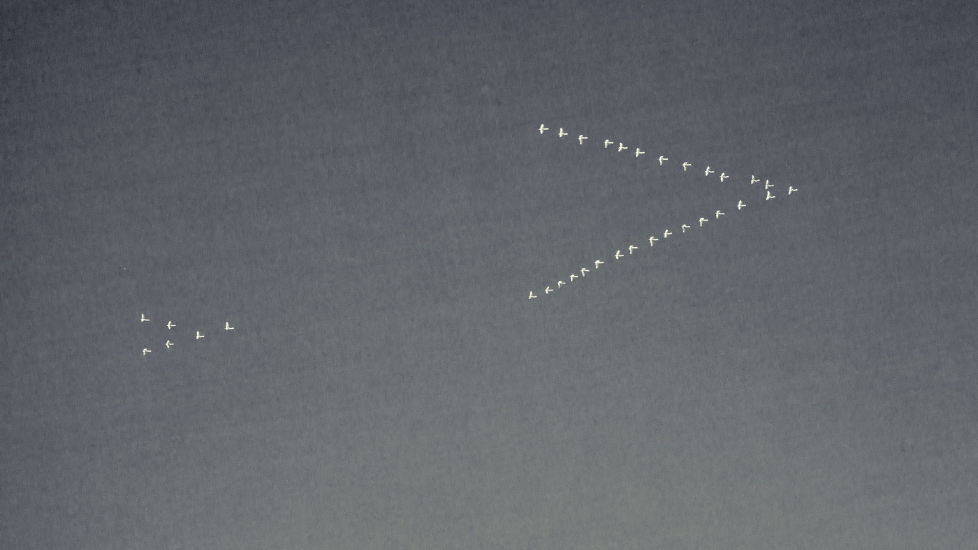 Жизнь вокруг