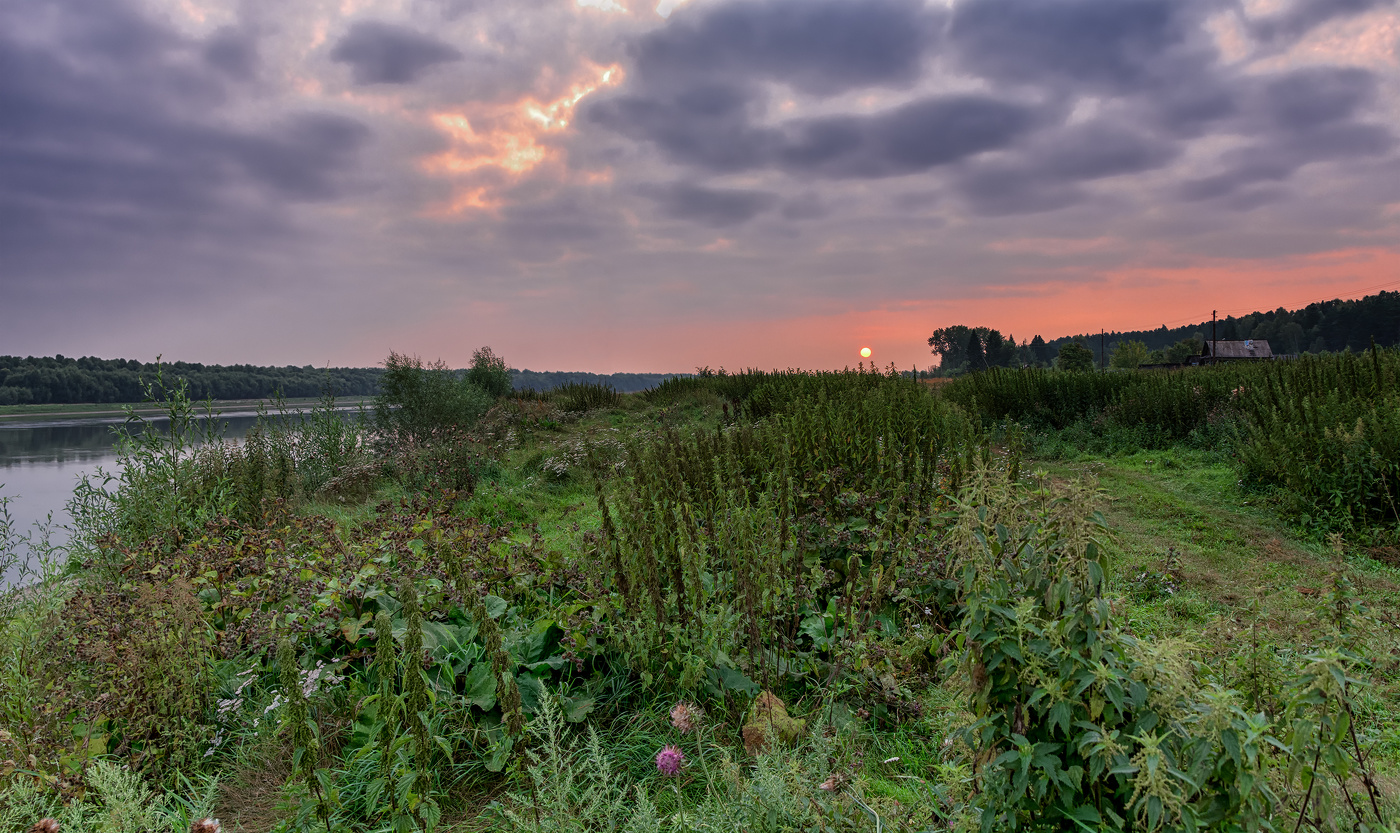 заповедный берег Иртыша..