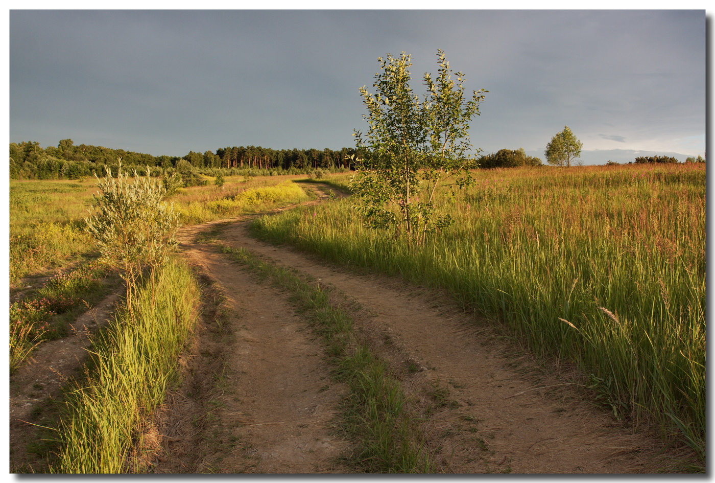 Вечерними просёлками