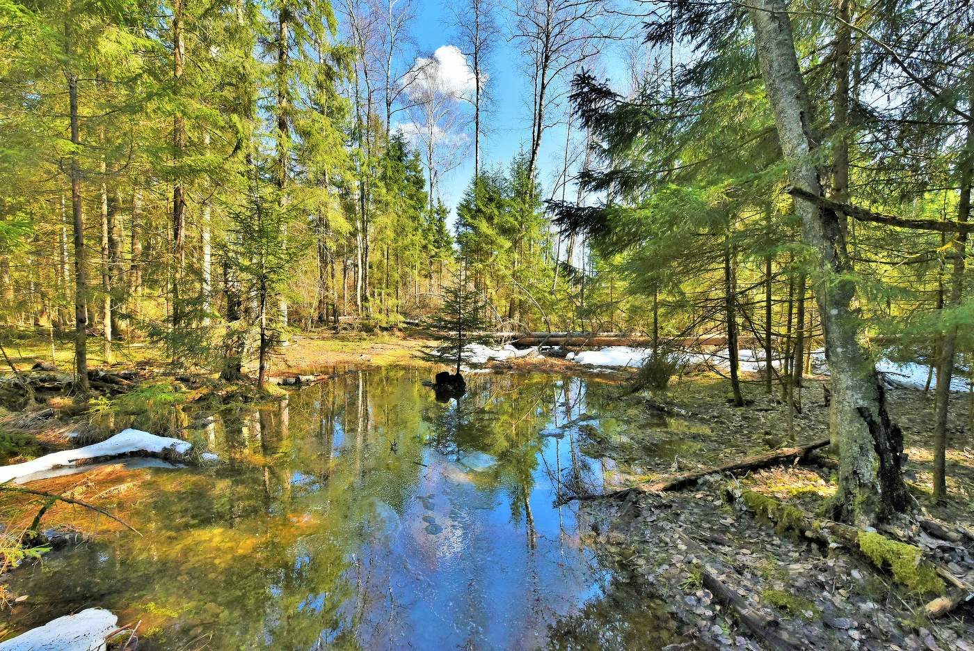 "Небесной синью манит глаза открывшая весна..."