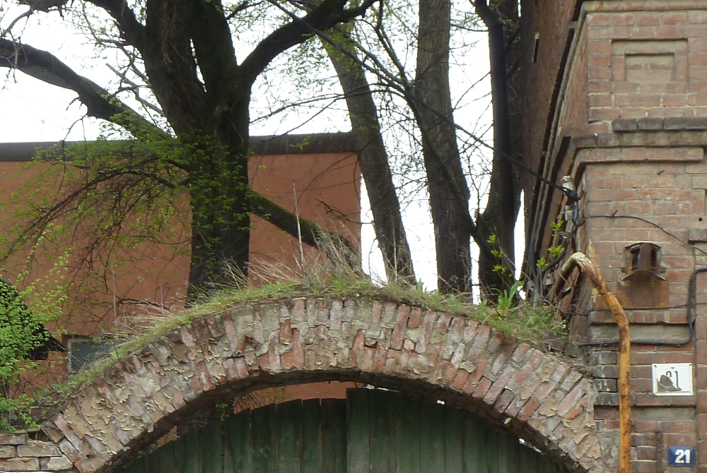 .... трава у дома..