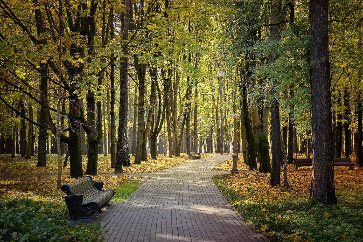 Осень в парке