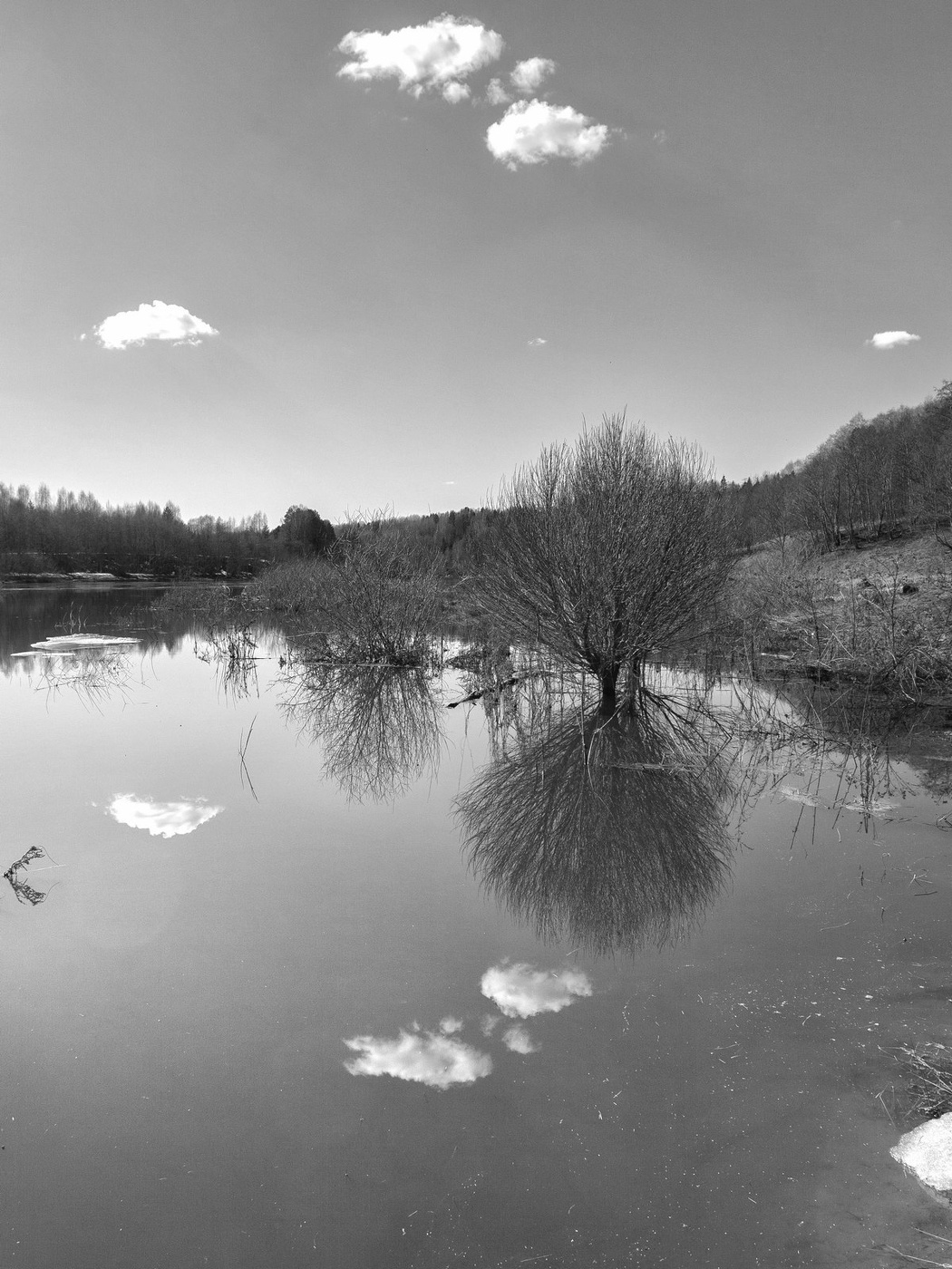 Жизнь вокруг