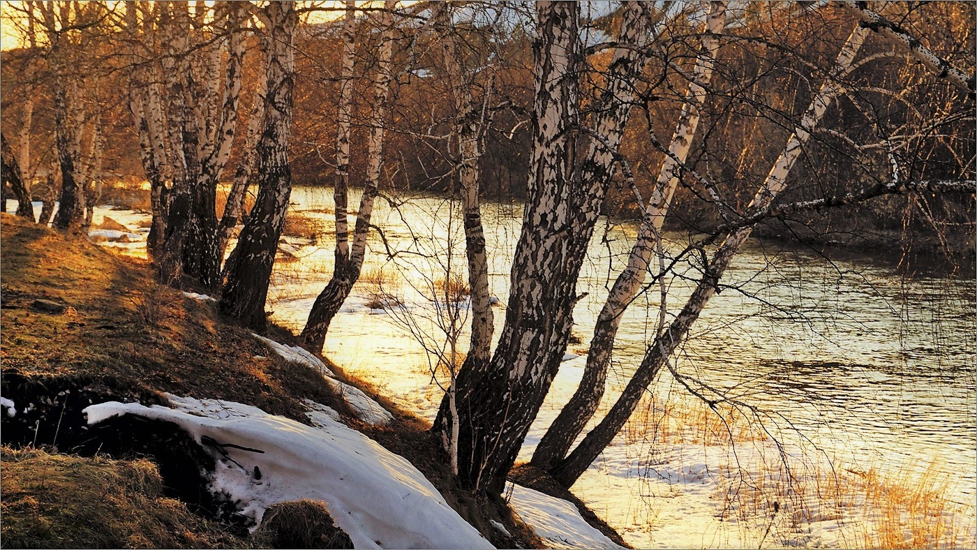 Прогулки по весне