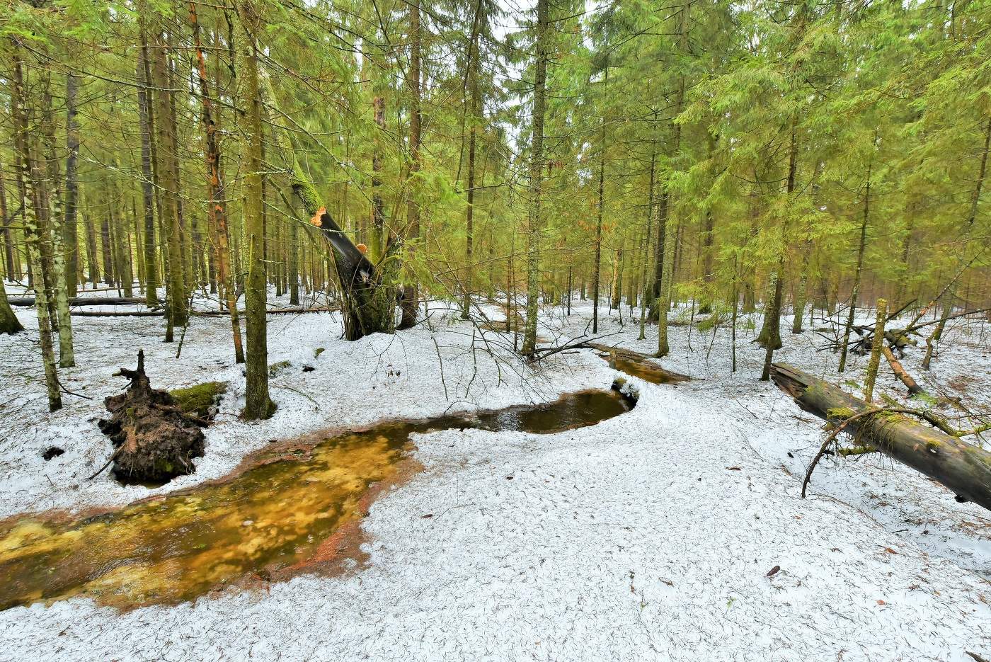 "Больной и талый снег и все течет, течет..."