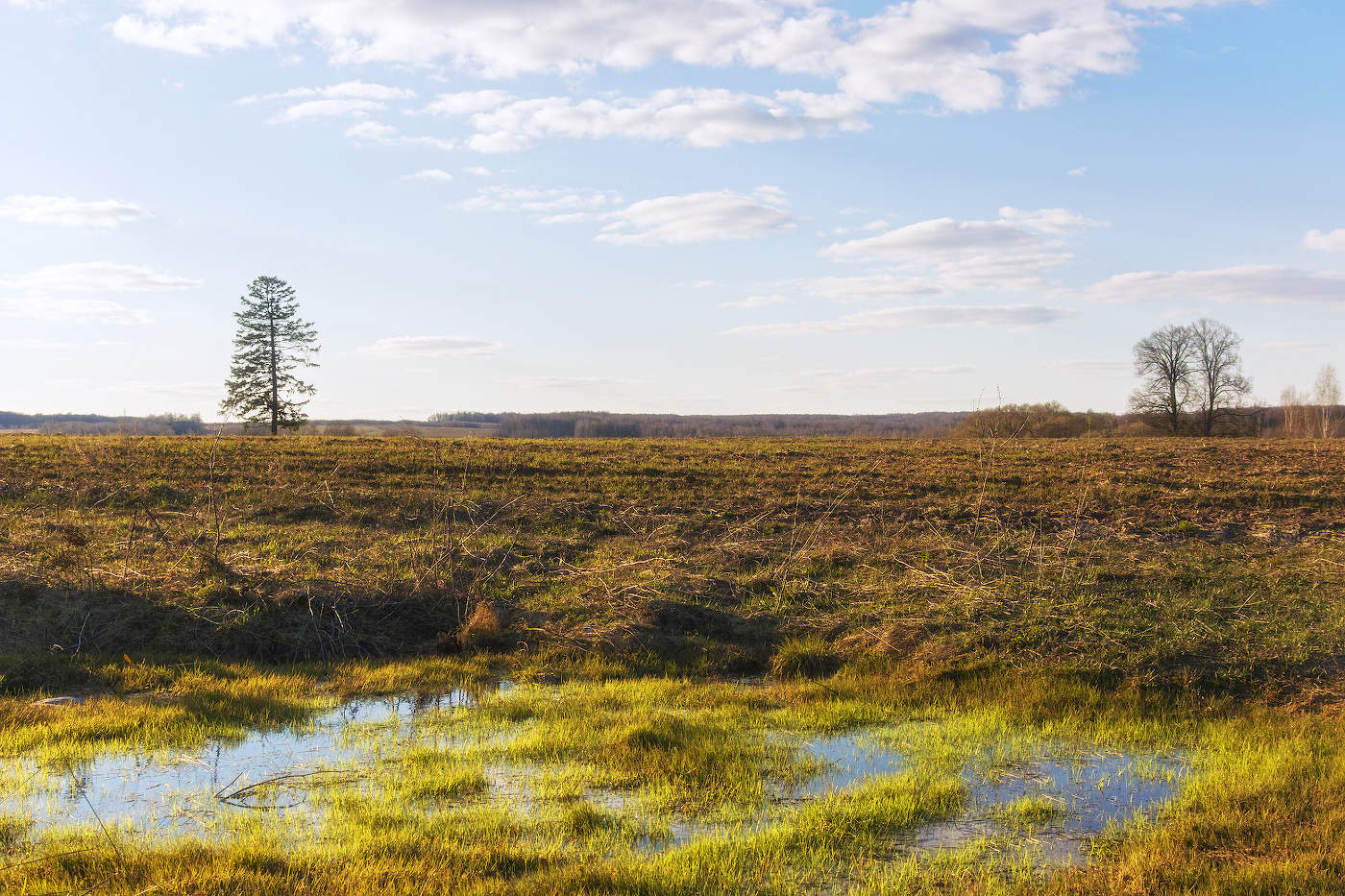 Весенние зарисовки