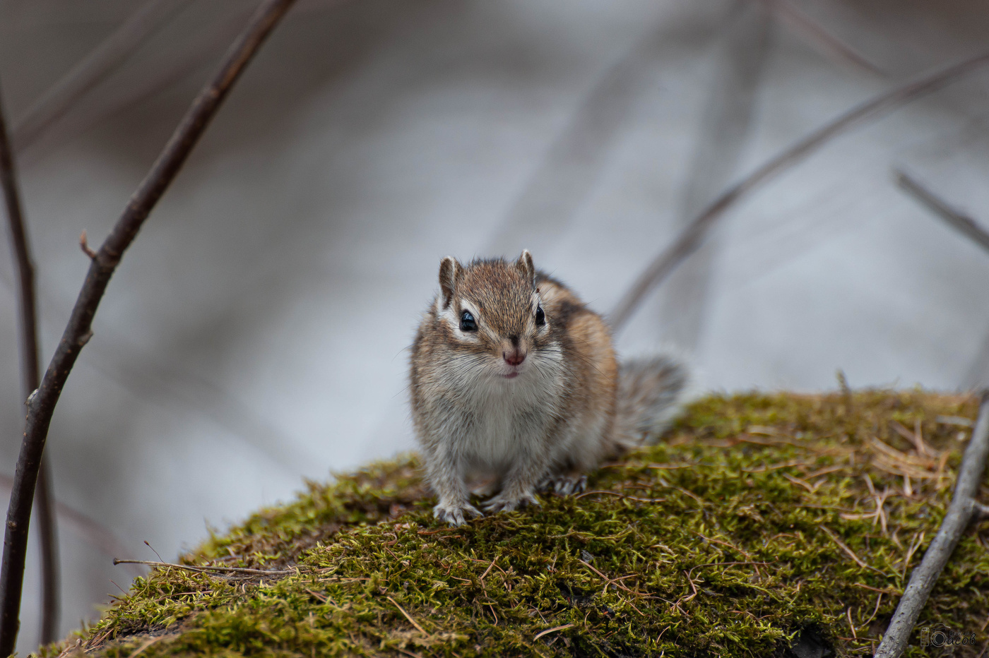 Здравствуй, я проснулся.