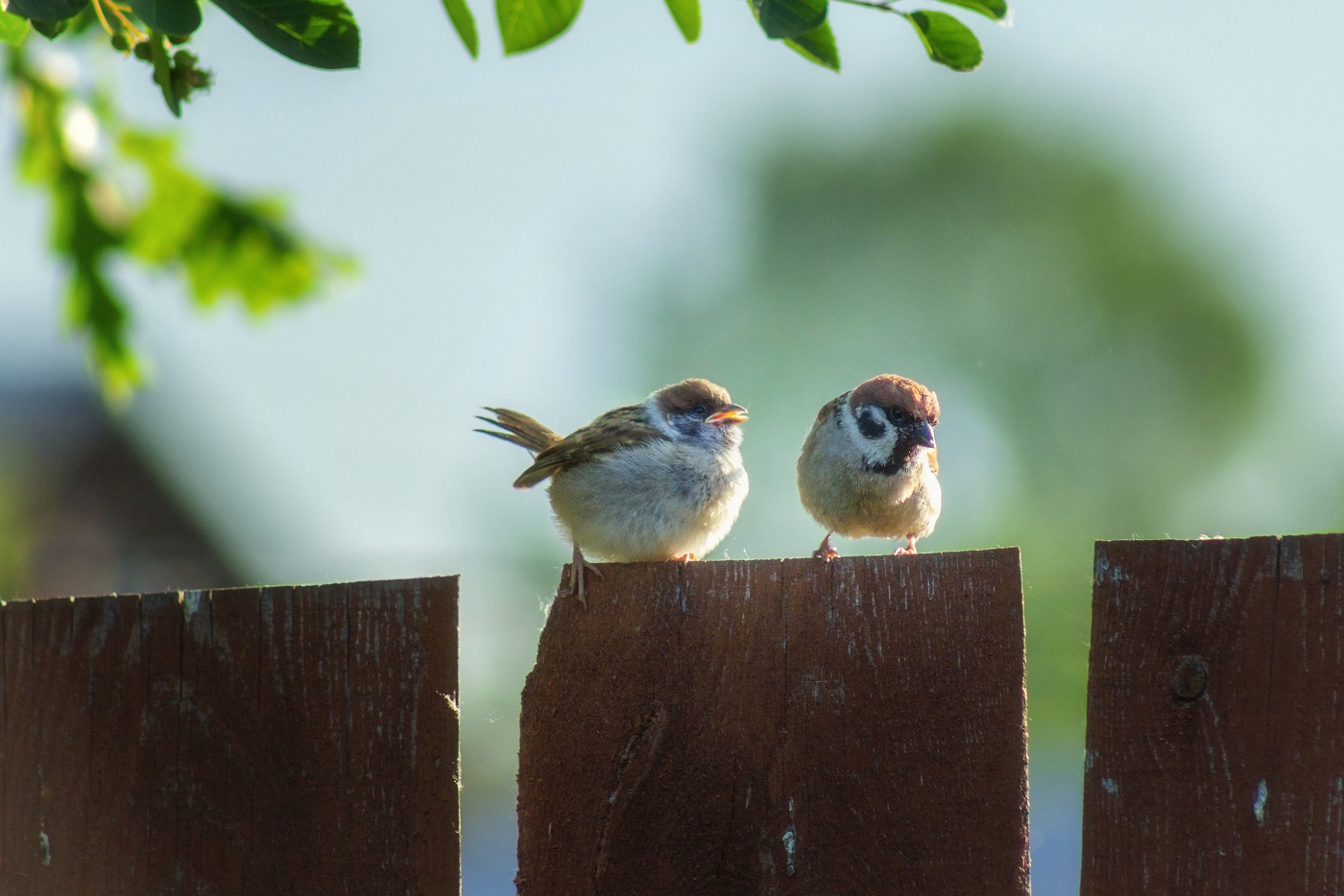 Уставшая мать