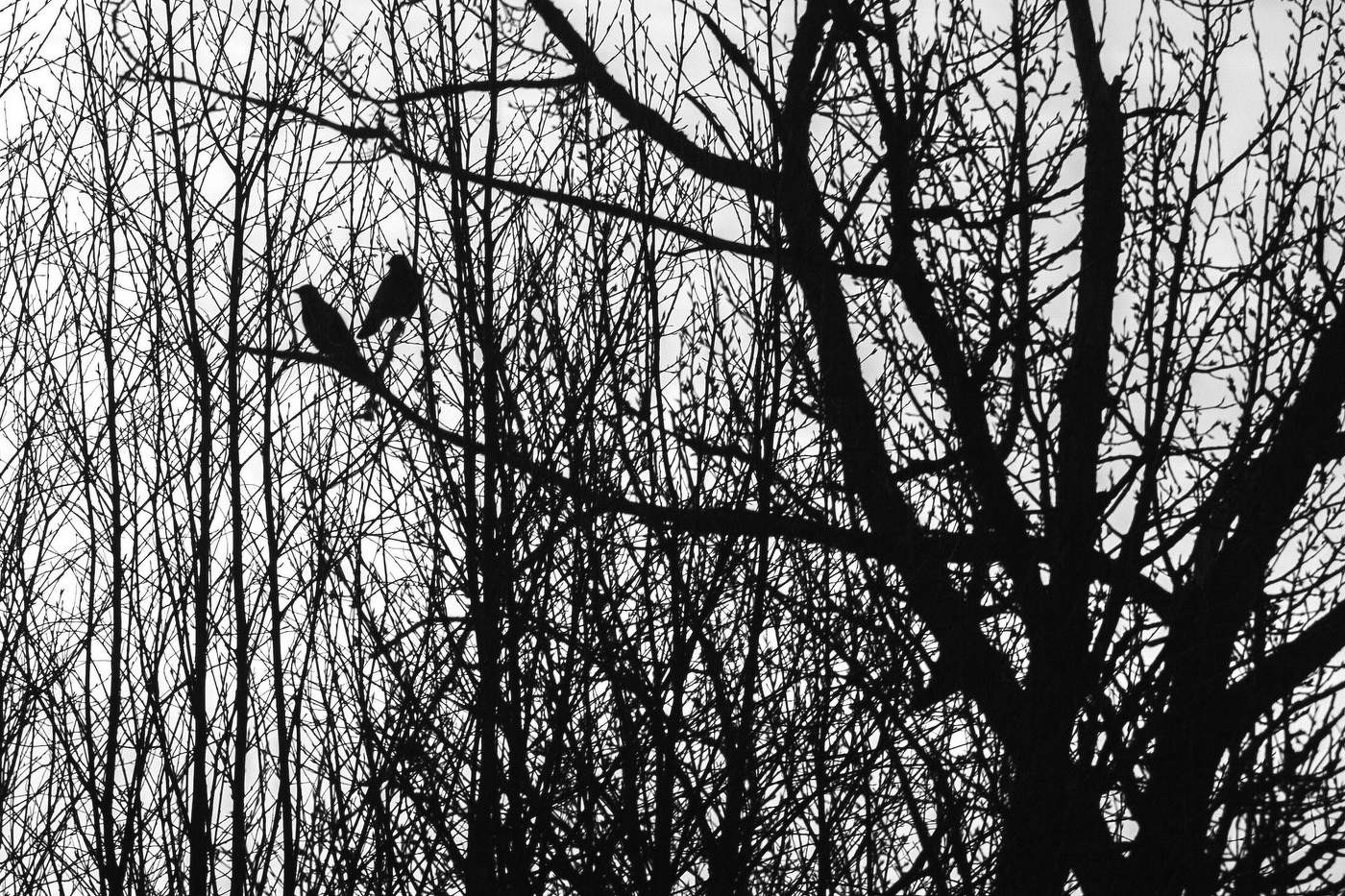 Жизнь вокруг