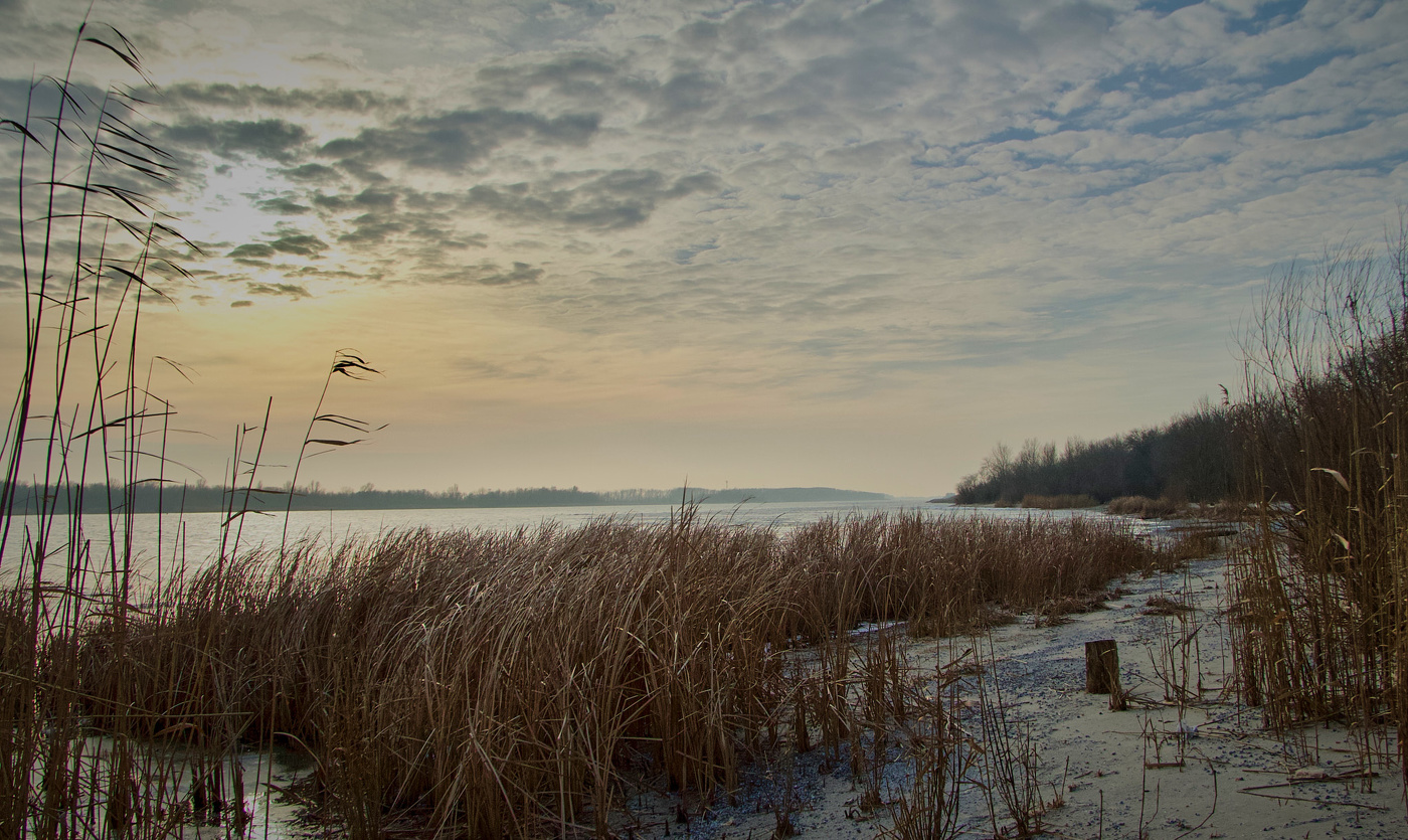 Ветер северный, умеренный до сильного