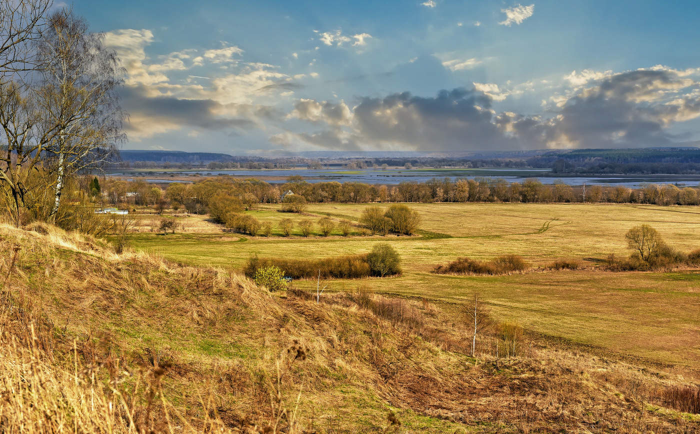 Пойма Реки Жиздры.