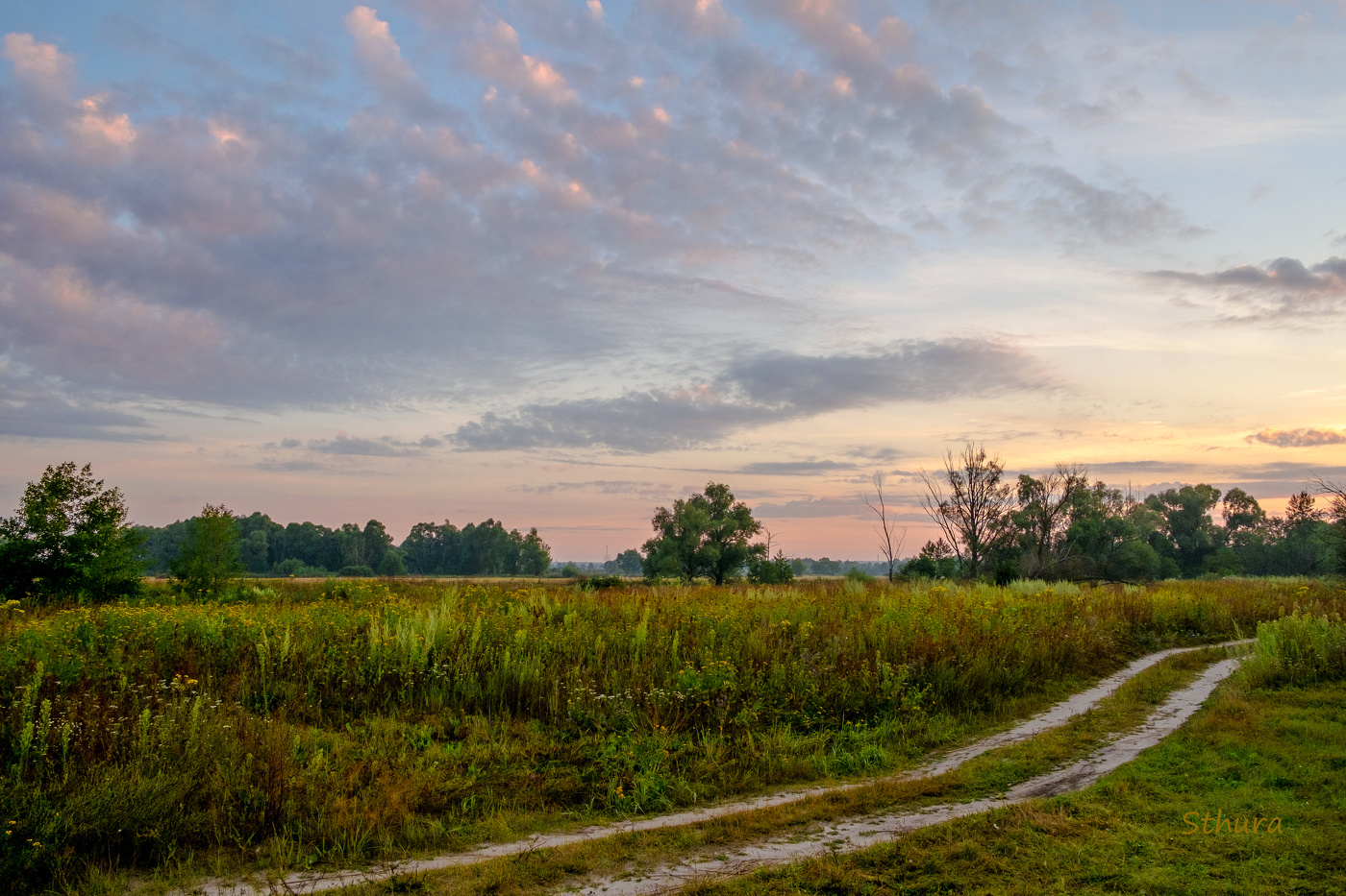 Утро в поле.