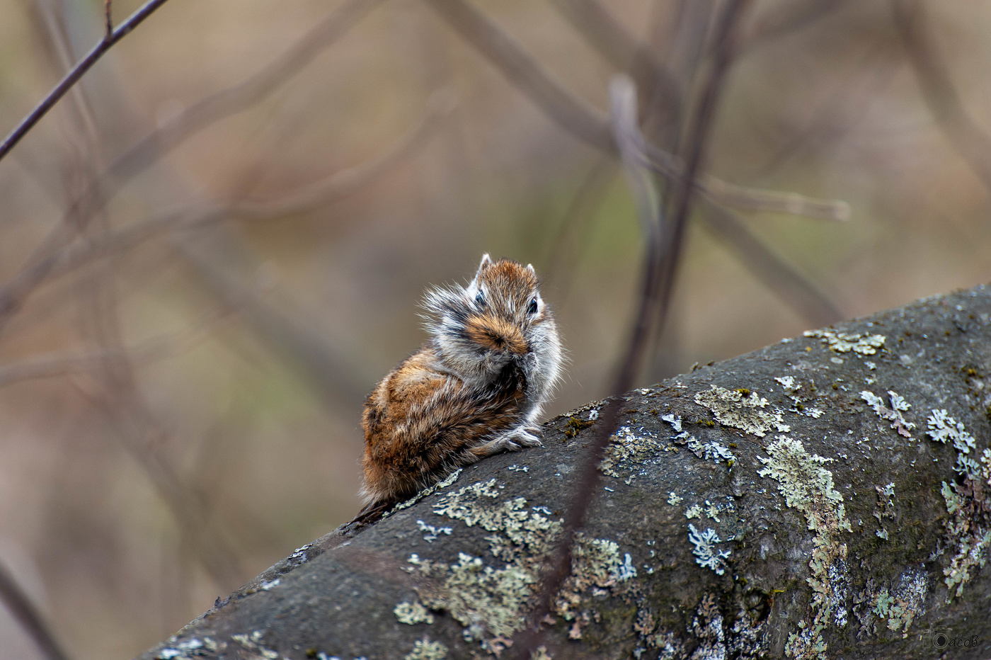 Ой, ну я стесняюсь!