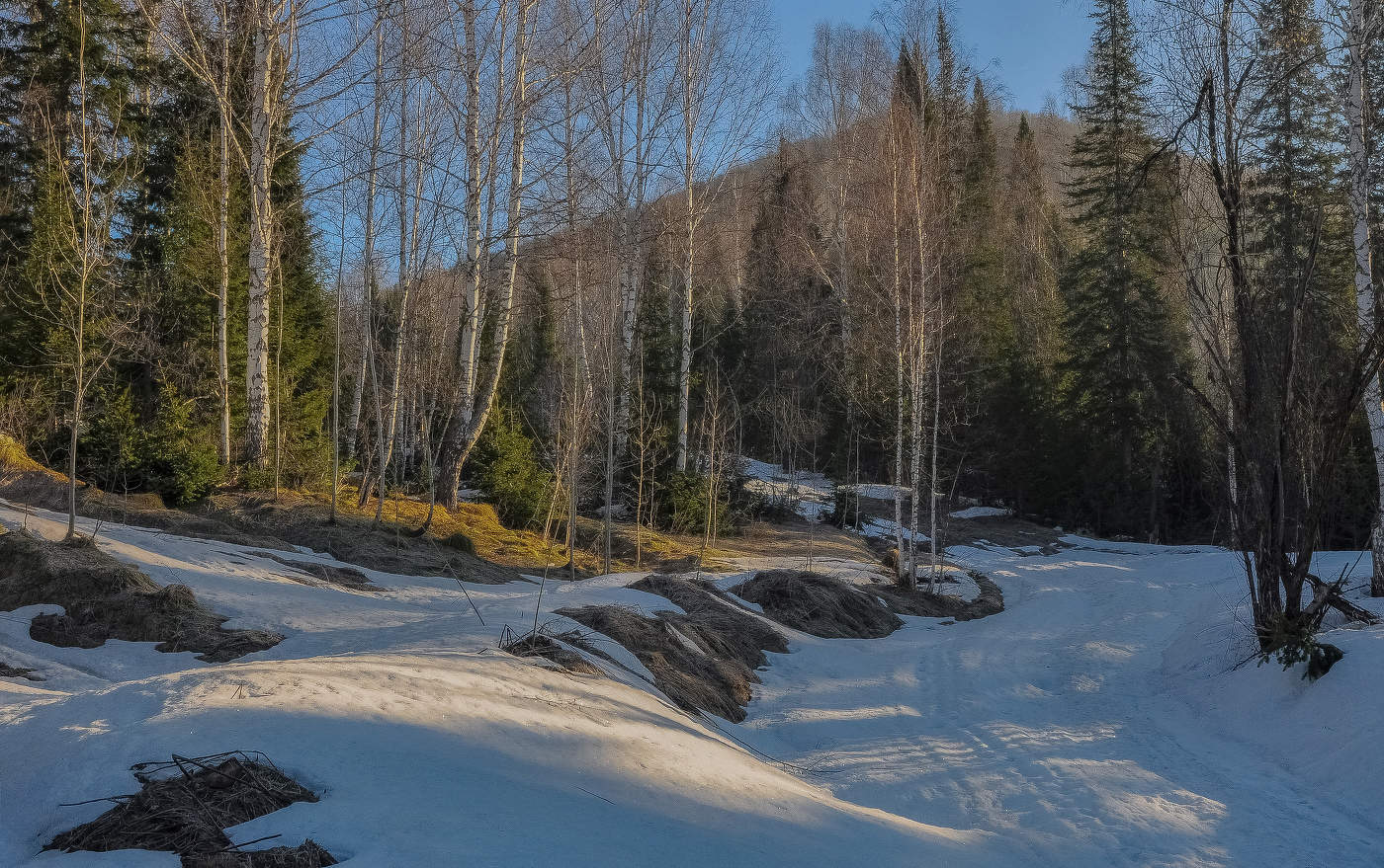 Весенние проталины