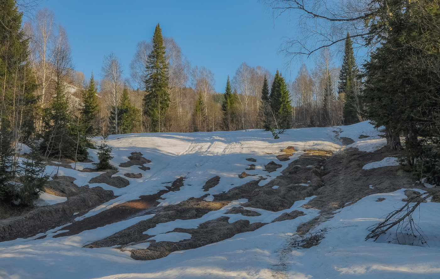 Весенние проталины