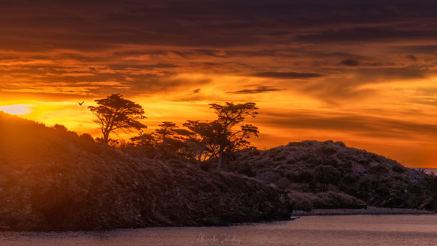 Ветренное утро