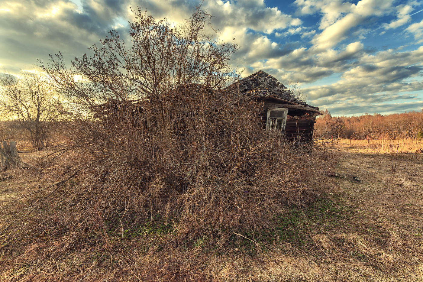 Жизнь вокруг