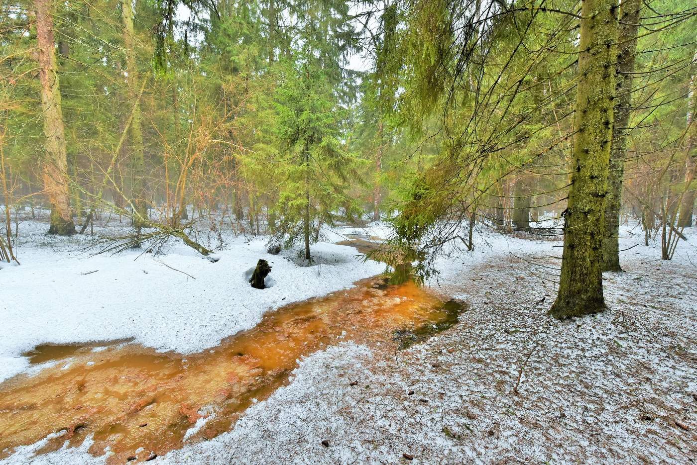 "Снега потемнеют синие ..."