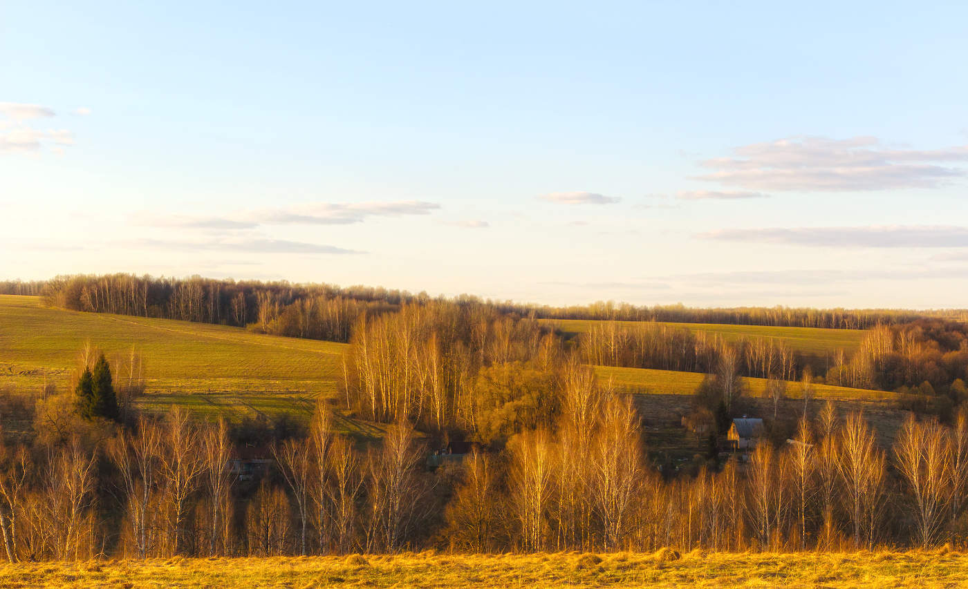 Предчувствие весны