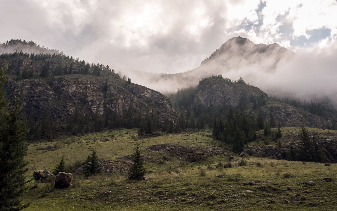 На утро, после дождя