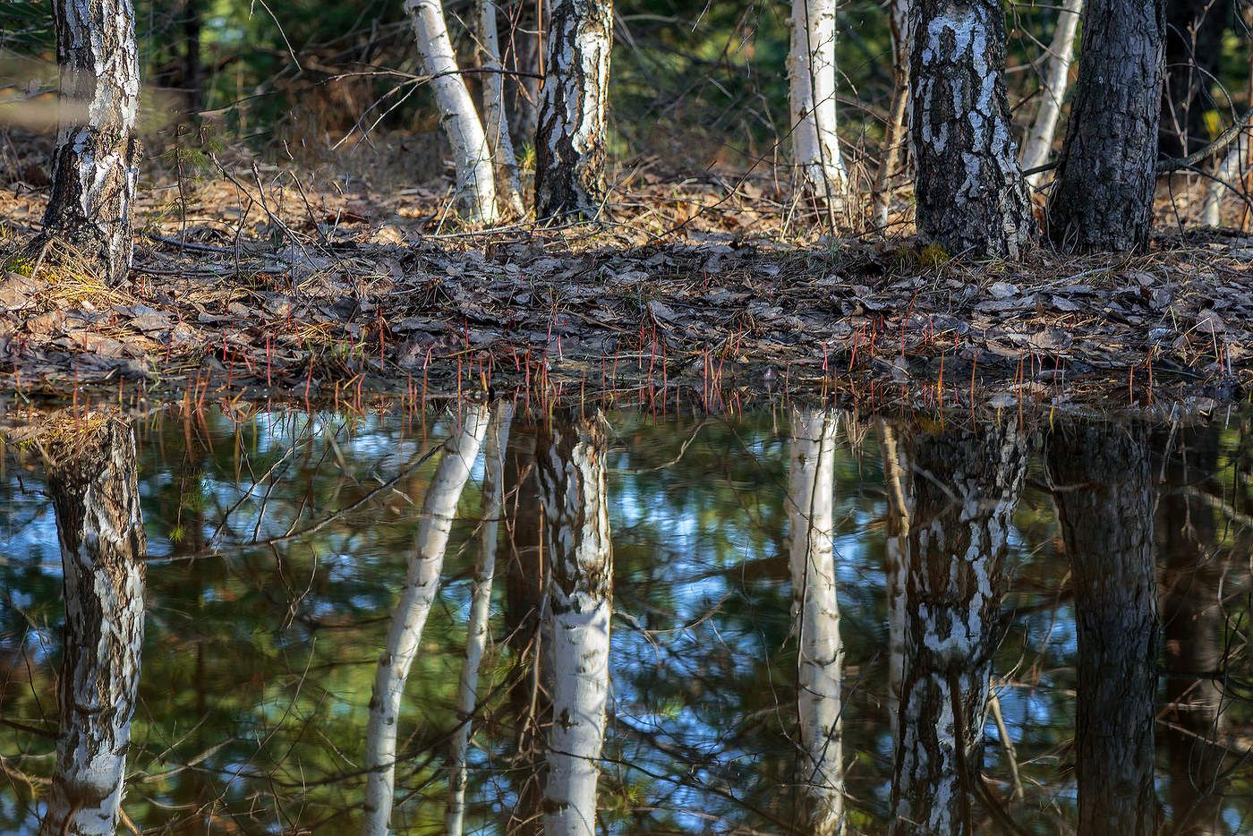 Талые воды...