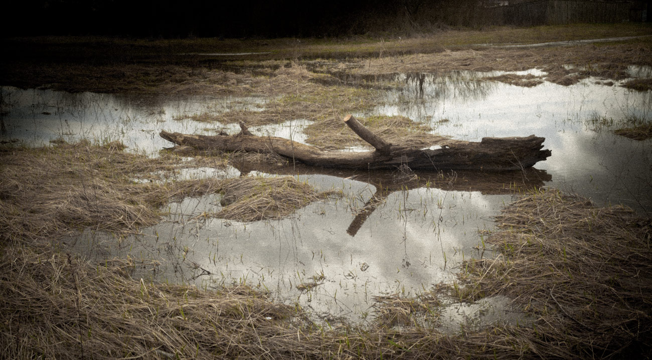 Весенняя грусть