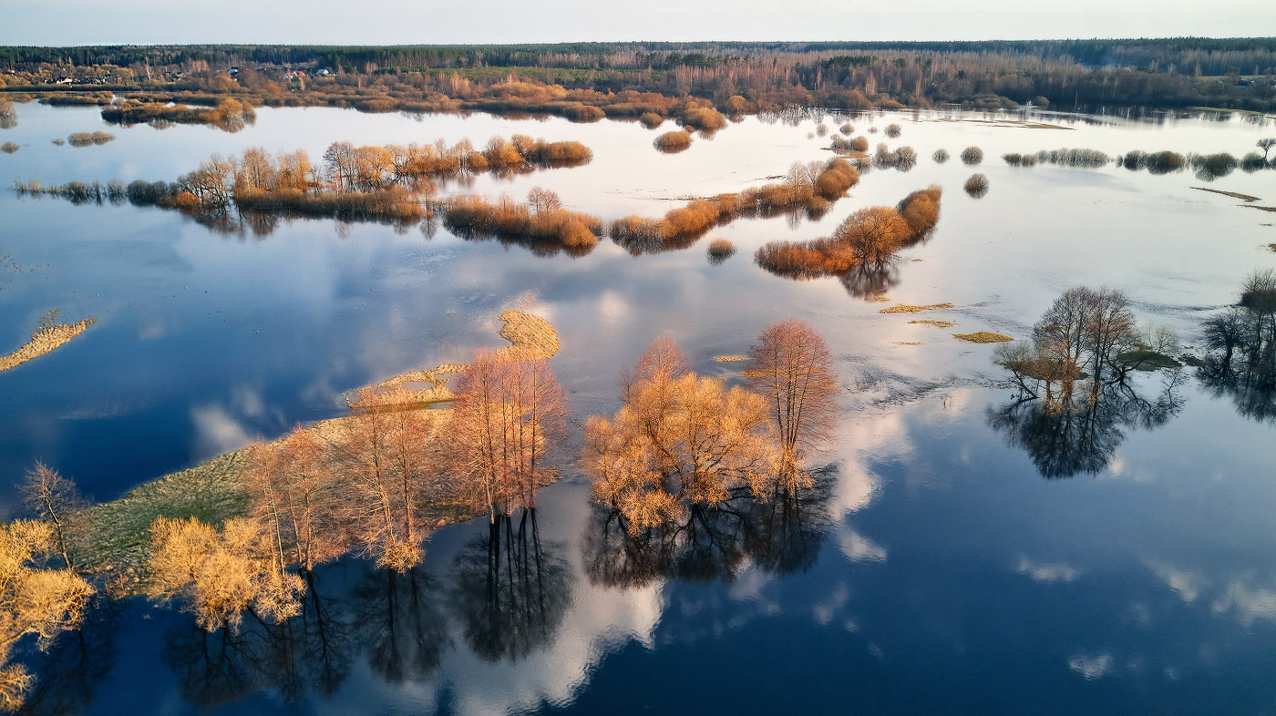 Половодье на Свислочи