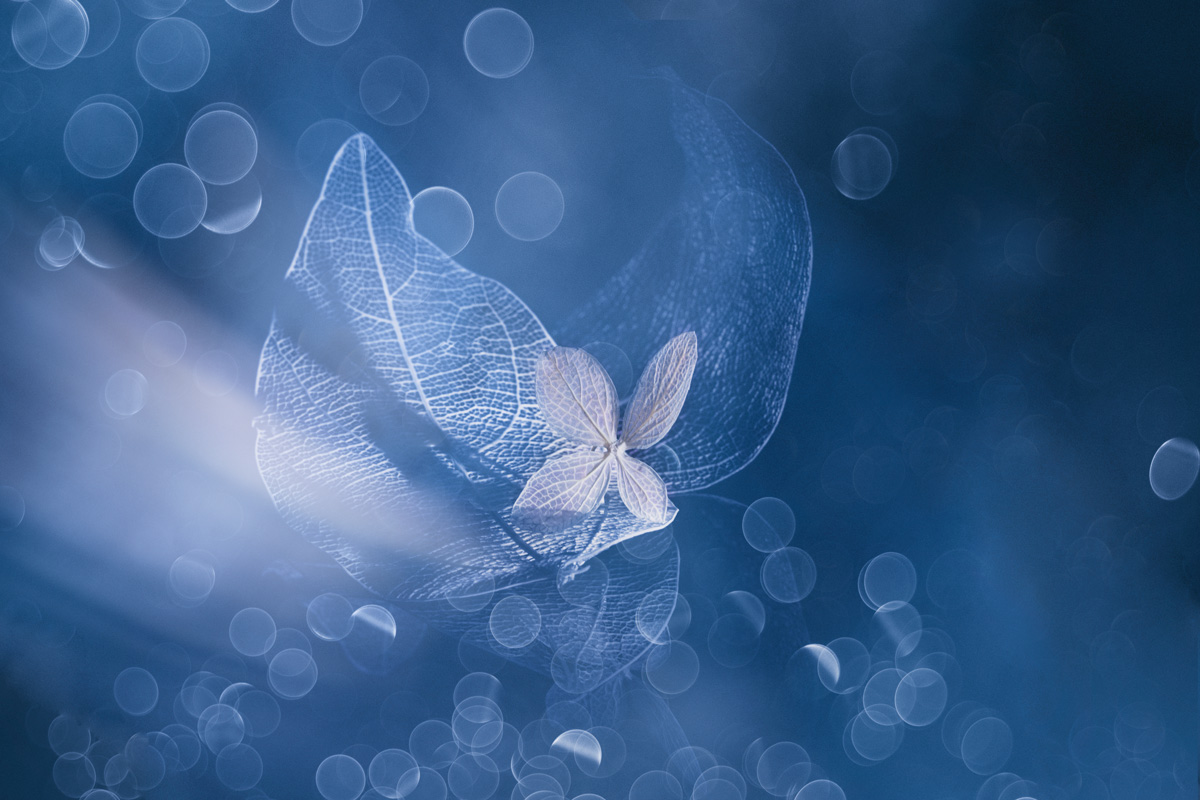 Стремление