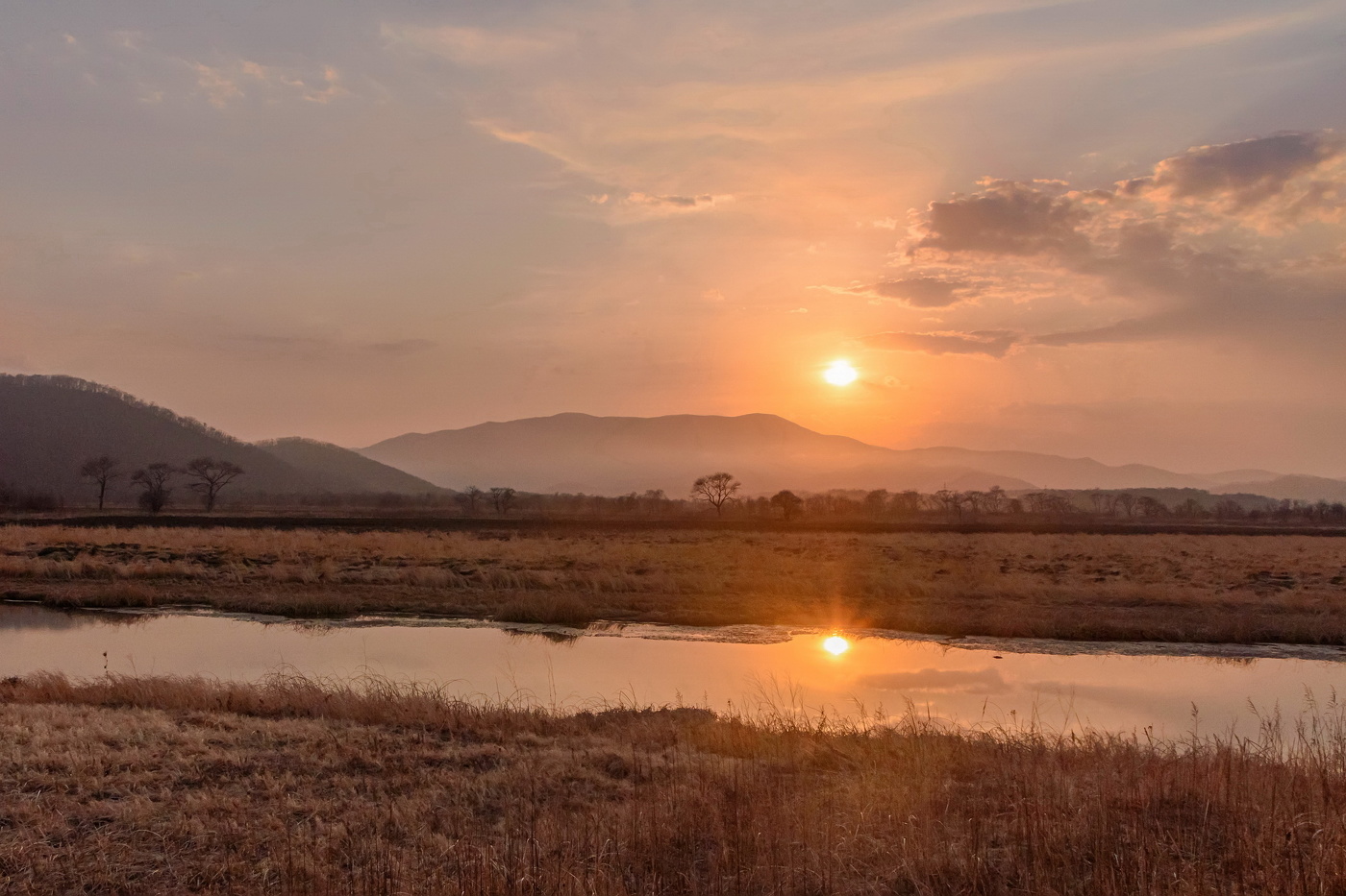 Весенний закат в полях
